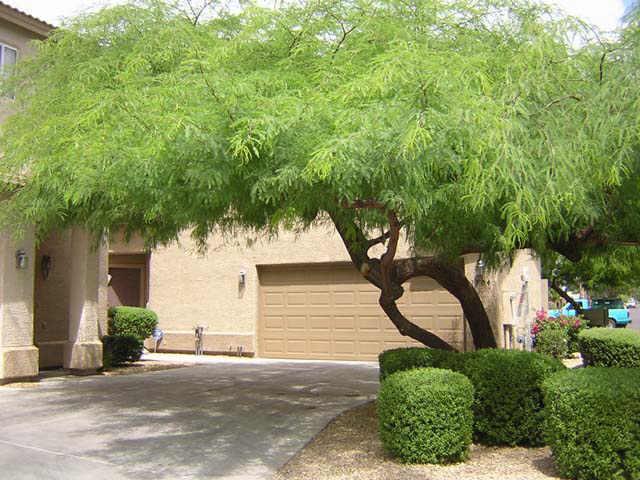 3704 W Oregon Ave., Phoenix, AZ 85019