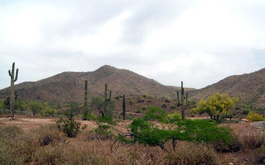 1043 E Saddle Mountain Rd., Phoenix, AZ 85086