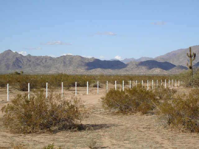 19523 N Reggae Rd. #H, Maricopa, AZ 85239