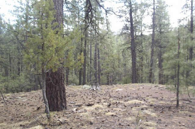 3584 E Mary May Ln., Prescott, AZ 86303