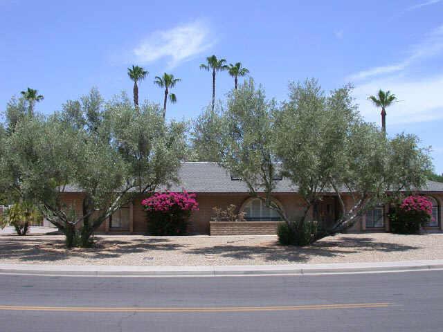 5002 E Cholla St., Scottsdale, AZ 85254
