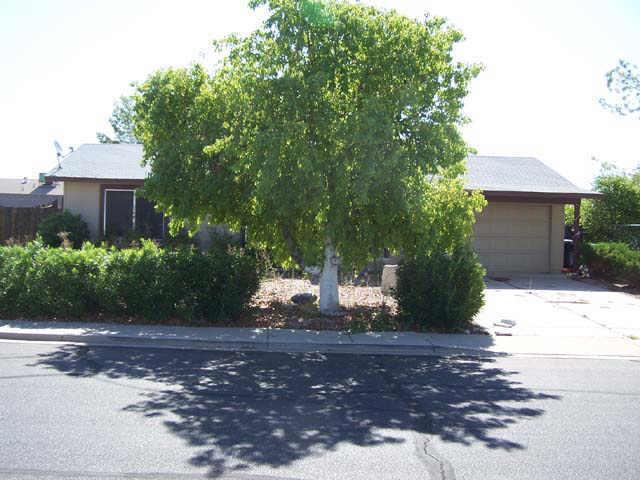 1547 N Terripin St., Mesa, AZ 85207