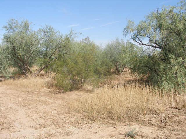 9966 E Wesley Way #c, Queen Creek, AZ 85243