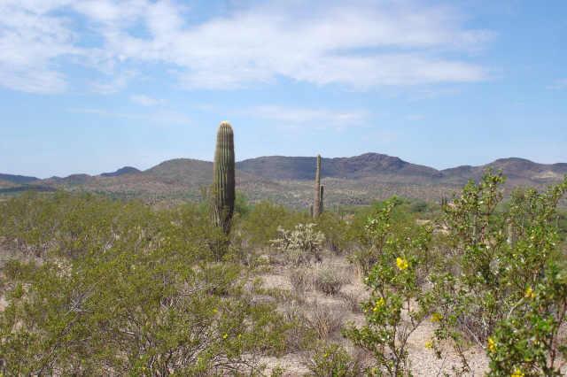 2 W Quiet Hills Dr. #1, Wickenburg, AZ 85390