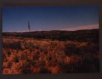 Desert Holly Tr., Cornville, AZ 86325