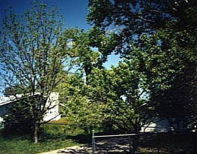 3575 Riverside Dr., Camp Verde, AZ 86322