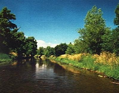 2060 S Aspass, Cornville, AZ 86325