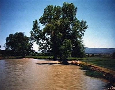 2025 Reservation Loop Rd., Camp Verde, AZ 86322