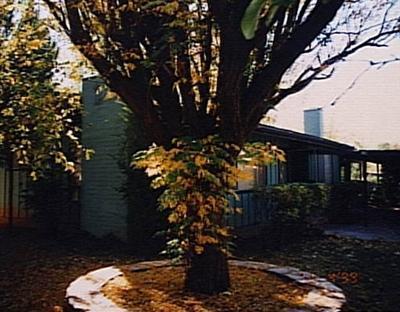 128 Birch Blvd. #2, Sedona, AZ 86336