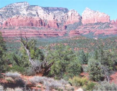 49 Calle Francesca, Sedona, AZ 86336