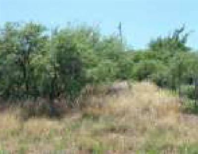 Karlson, Cornville, AZ 86325