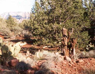 200 Grounds Dr., Sedona, AZ 86336