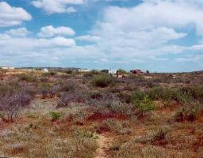 O Forest View Dr., Cornville, AZ 86325