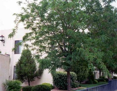 65 Verde Valley Schoolrd #E-7, Sedona, AZ 86351