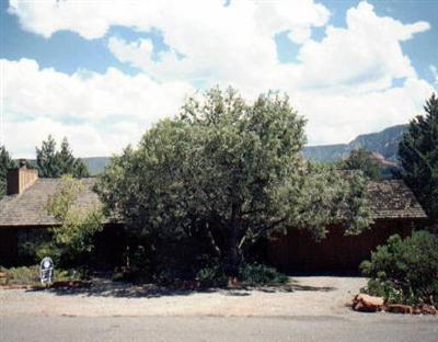 290 Coronado Tr., Sedona, AZ 86336