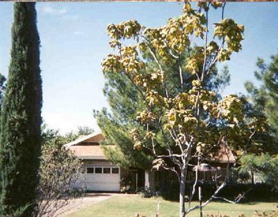 1764 S Quarterhorse, Camp Verde, AZ 86322