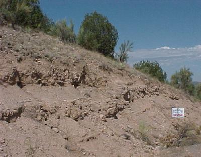 Verde Cir., Rimrock, AZ 86335