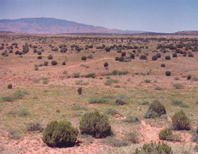 Bill Gray Area Rd., Sedona, AZ 86336