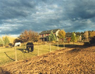 7800 E Mesa, Cornville, AZ 86325