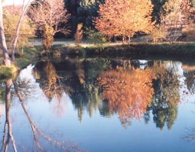 900 N Aspass Rd., Cornville, AZ 86325