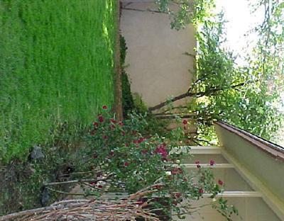 4590 Canyon Tr. #2, Cottonwood, AZ 86326