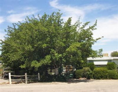 3608 Vaquero Ln., Cottonwood, AZ 86326