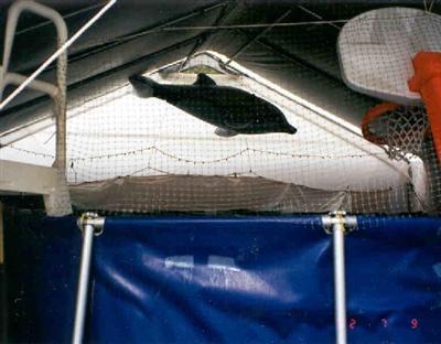 3405 E Tower Dr., Cottonwood, AZ 86326