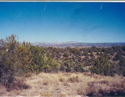 Orlandi Tr., Rimrock, AZ 86335