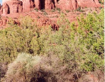 68 Cr Ranch-gem Ct., Sedona, AZ 86351