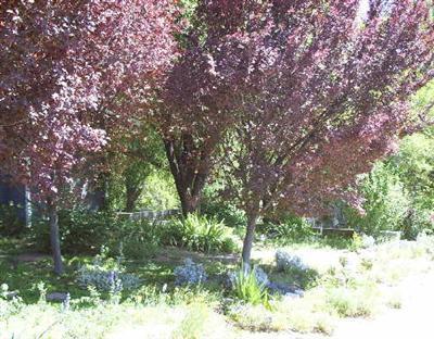 775 Sheephead Crossing, Cornville, AZ 86325