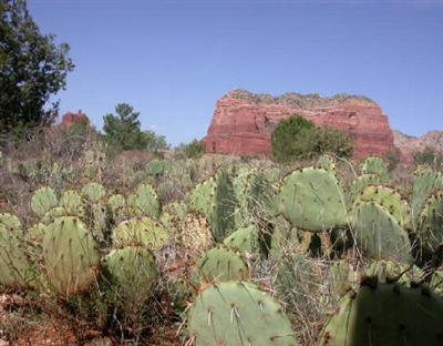 5 Clear Water Cir., Sedona, AZ 86351