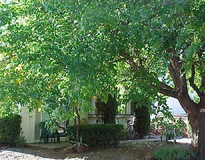 85 Friendship Way #1, Sedona, AZ 86336