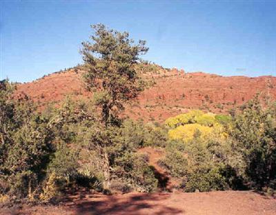 S Red Rock Loop Rd., Sedona, AZ 86336