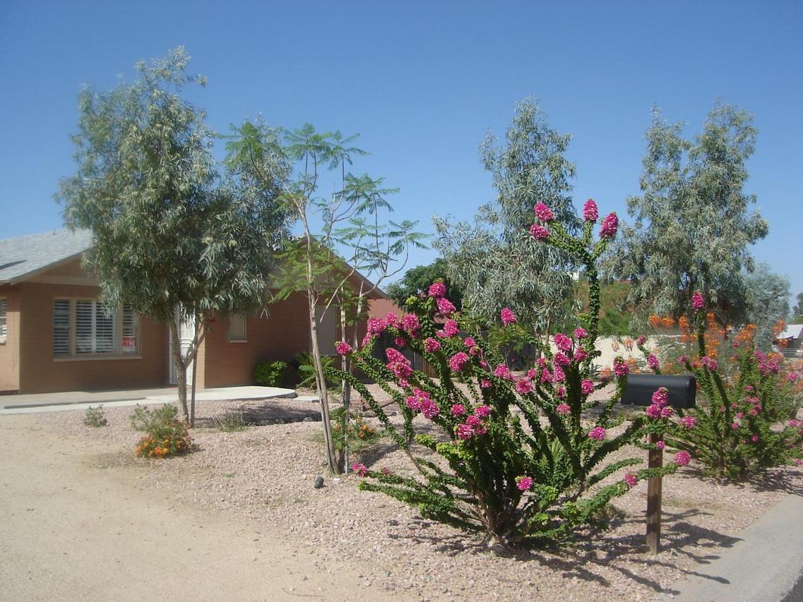 1319 E Kaler Dr., Phoenix, AZ 85020