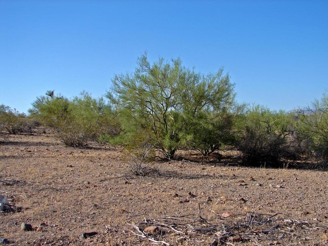 3950 S Black Mountain Rd. #21, Wickenburg, AZ 85390