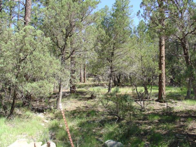 48 Ponderosa, Christopher Creek, AZ 85541