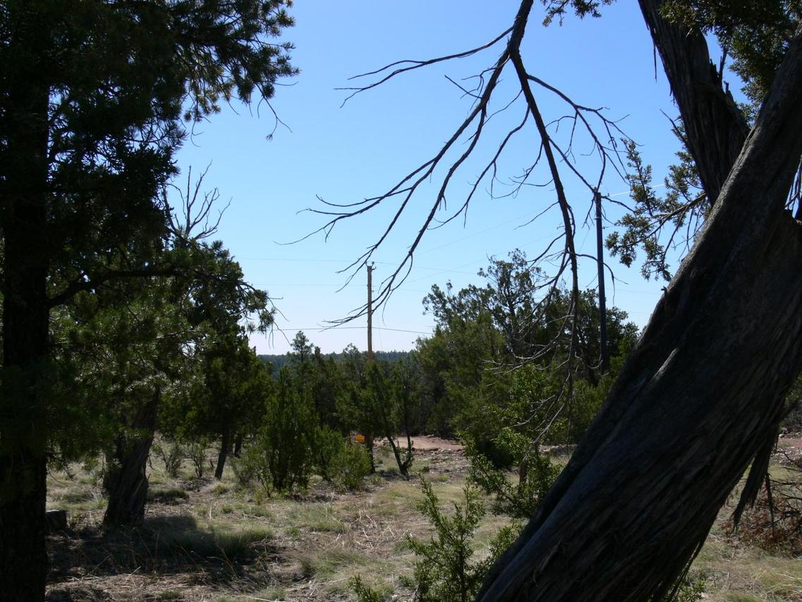 #1 Bear Heights Rd. #1, Heber, AZ 85928