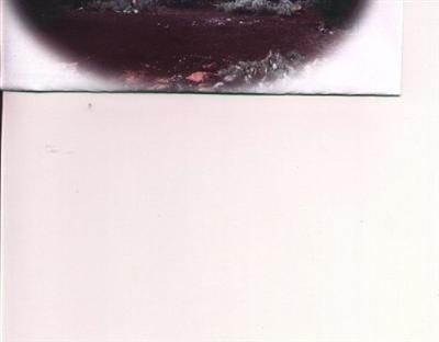 325 Juniper Dr., Sedona, AZ 86336