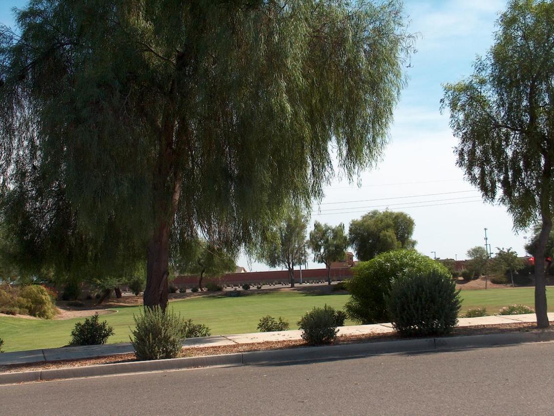 14036 N 150th Ln., Surprise, AZ 85379