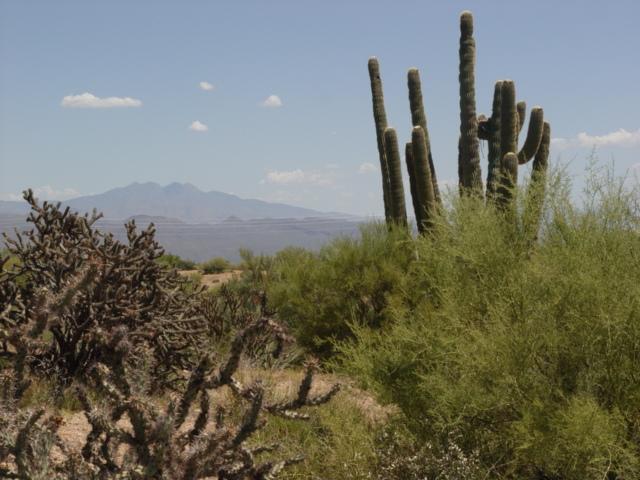 14300 E Dove Valley Rd. #4, Scottsdale, AZ 85262