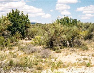 6615 N Falcon View Dr., Rimrock, AZ 86335