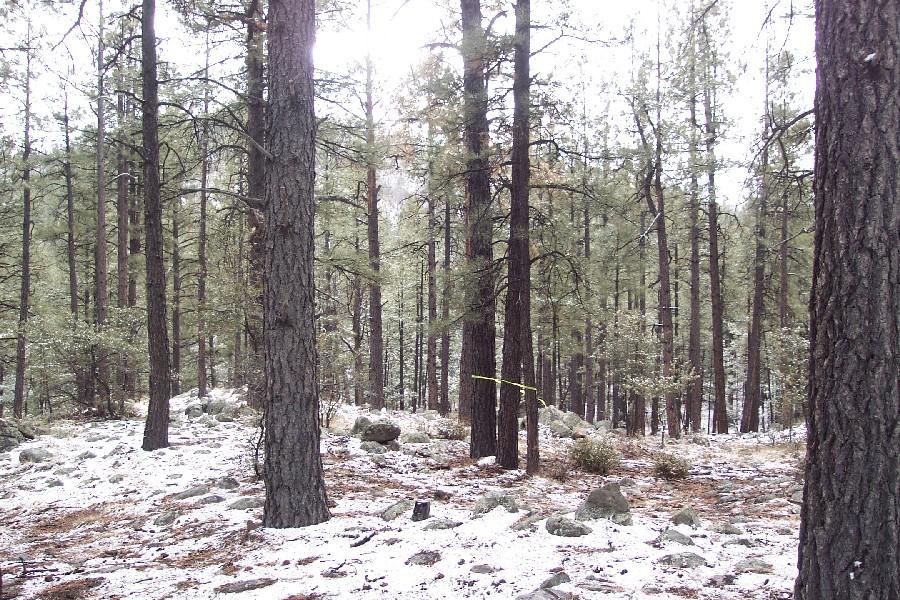 E Softwind Tr. #49, Prescott, AZ 86303