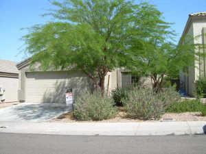 23942 W Lasso Ln., Buckeye, AZ 85326
