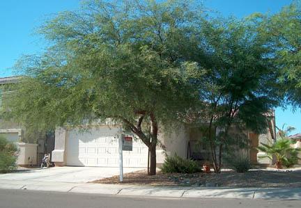 1450 E Avenida Kino, Casa Grande, AZ 85122
