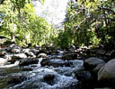 10335 E Creekside Dr., Cornville, AZ 86325