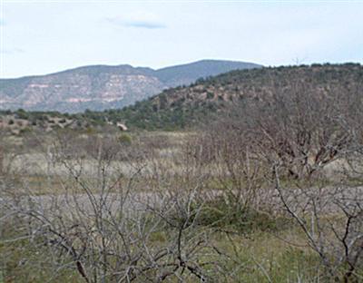 Geronimo Rd., Rimrock, AZ 86335