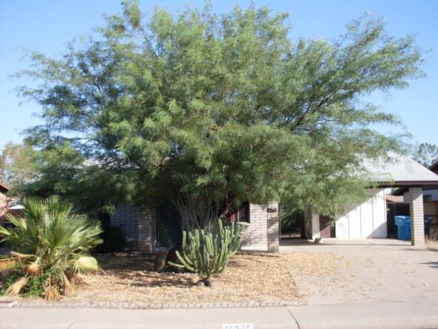 17437 N 13th Ave., Phoenix, AZ 85023