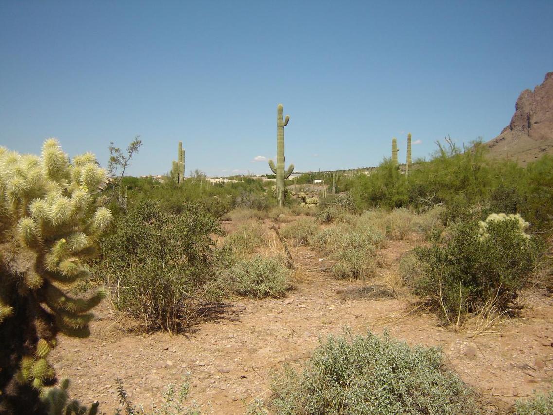 6000-6199 E Greasewood St. #50B, Apache Junction, AZ 85219