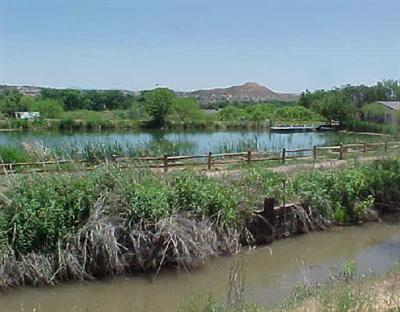 585 Mill Dr., Cottonwood, AZ 86326