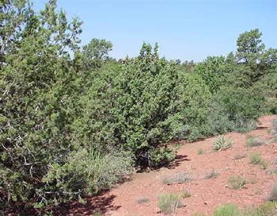 75 Essex, Sedona, AZ 86336